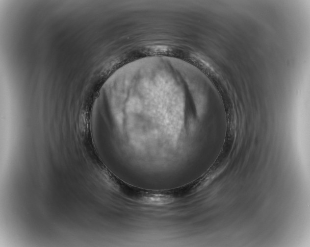 X0000085750467200704091319