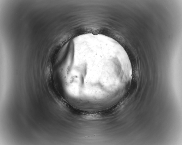 X0000085750468200704091319