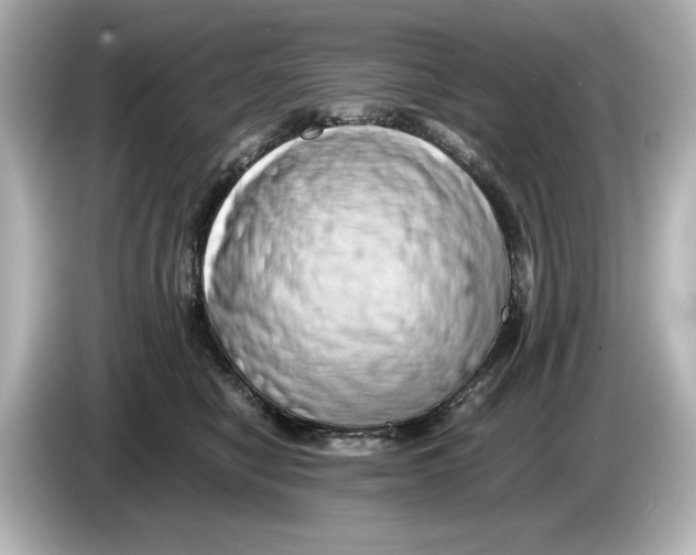 X0000085750470200704091319