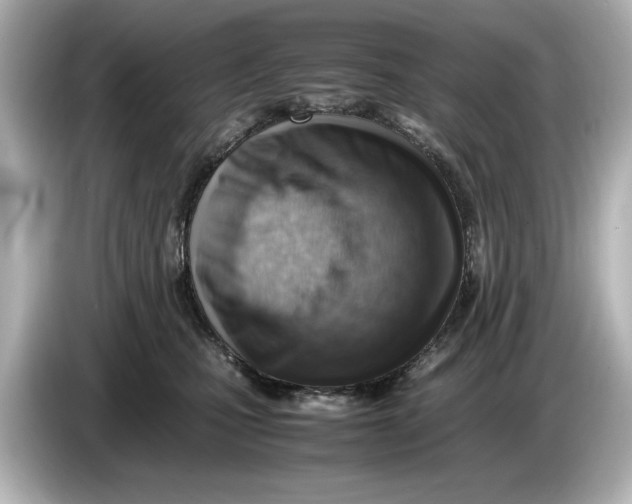 X0000085750471200704091319