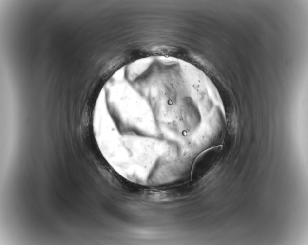 X0000085750472200704091319