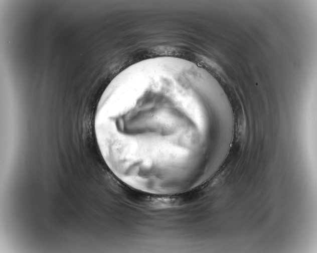 X0000085750473200704091319