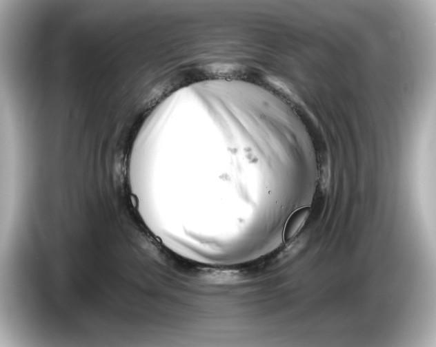 X0000085750476200704091319