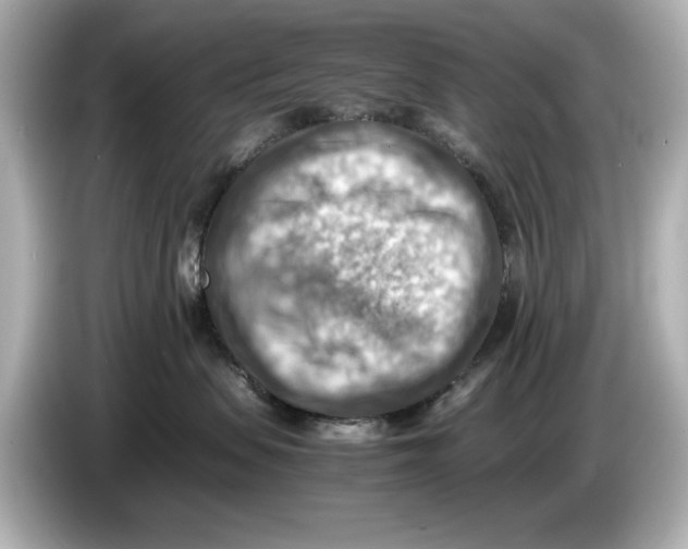 X0000085750479200704091319