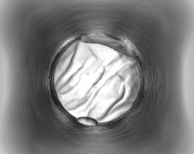 X0000085750482200704091319