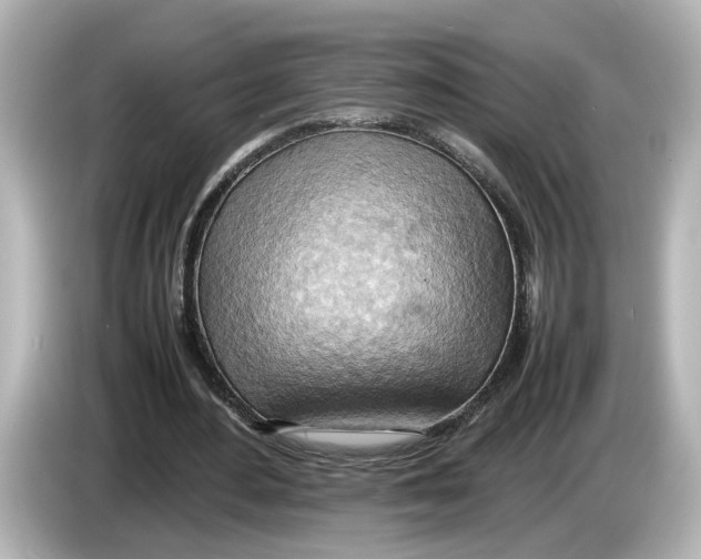 X0000085750484200704091319