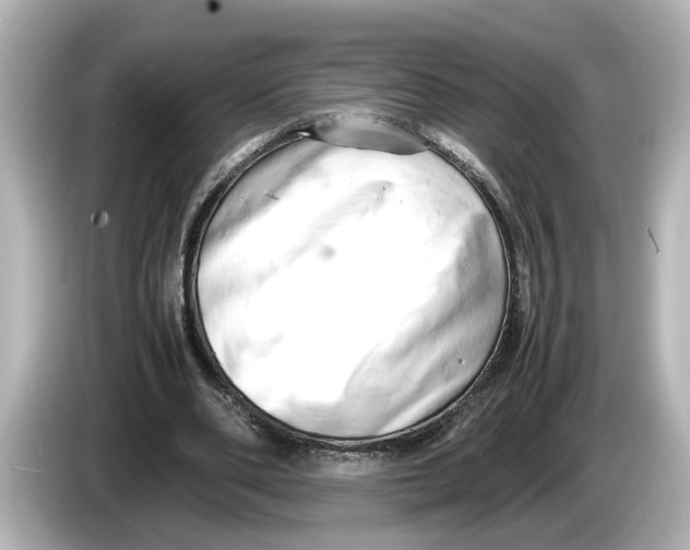 X0000085750486200704091318