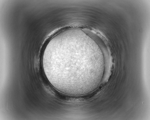 X0000085750488200704091318