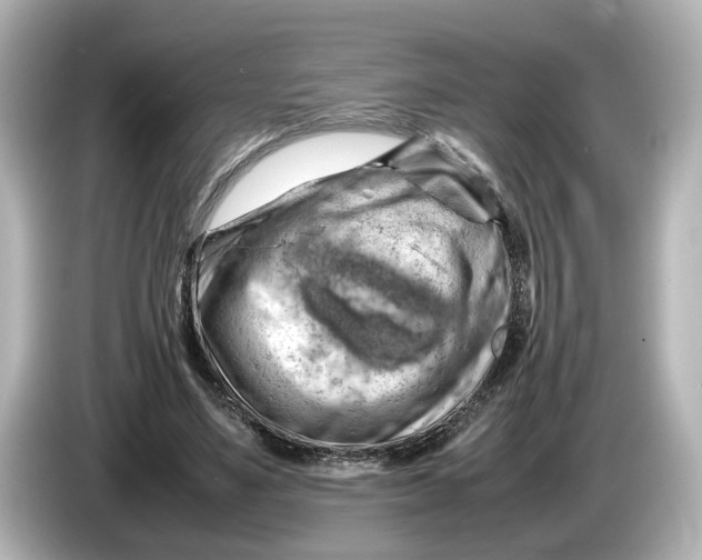 X0000085750491200704091318