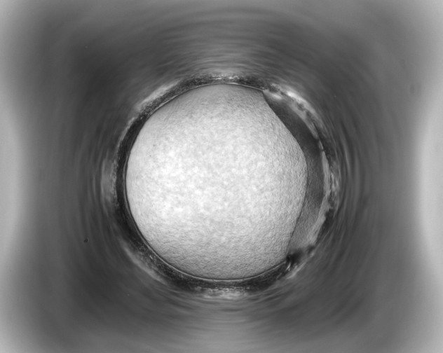 X0000085750492200704091318