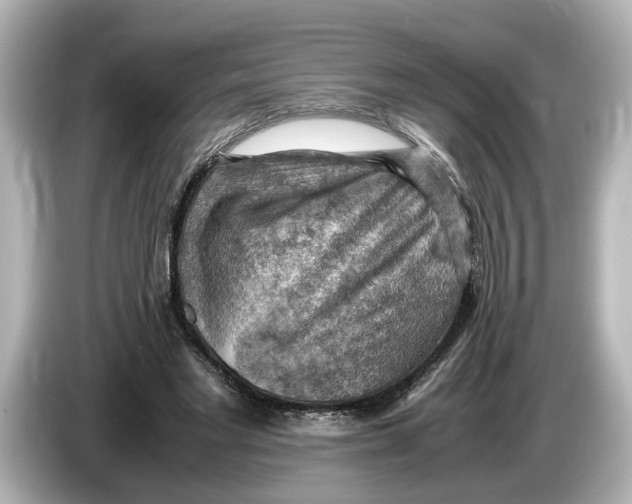 X0000085750493200704091318