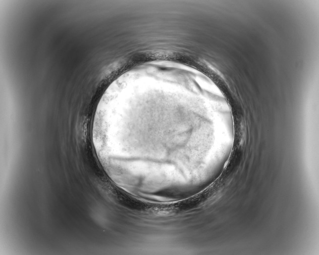 X0000085750495200704091318