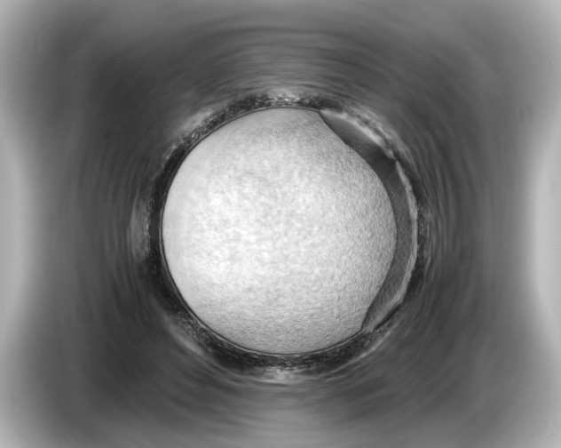 X0000085750496200704091318