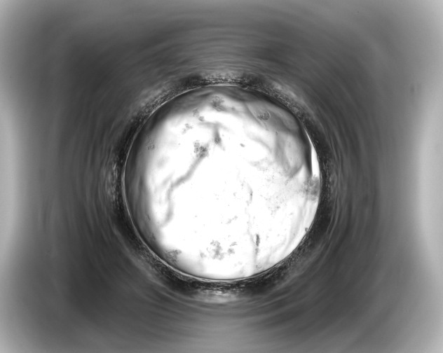 X0000085750498200704091318