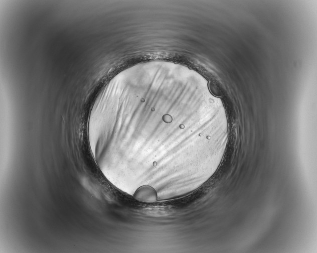 X0000085750499200704091318