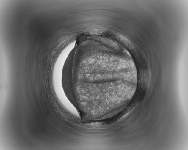 X0000085750501200704091318