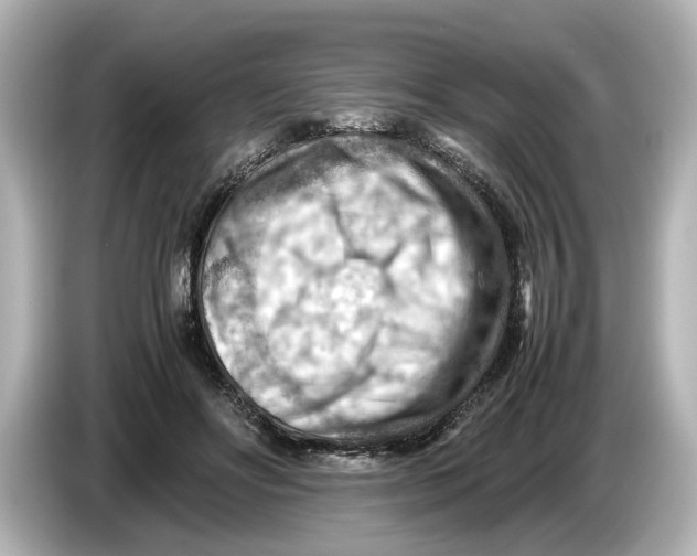 X0000085750502200704091318