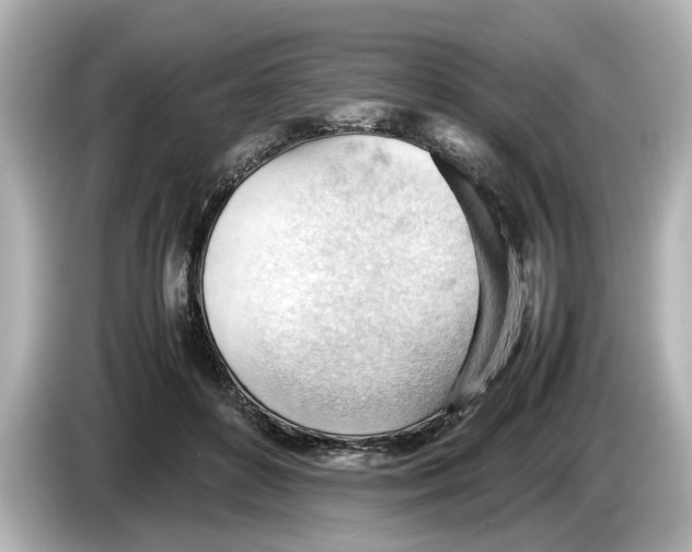 X0000085750504200704091318