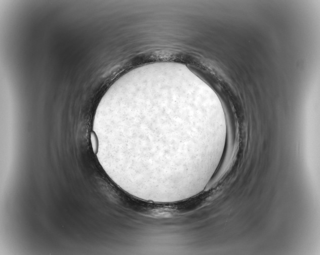 X0000085750505200704091318