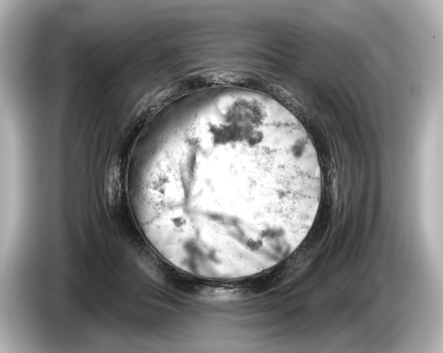 X0000085750506200704091318