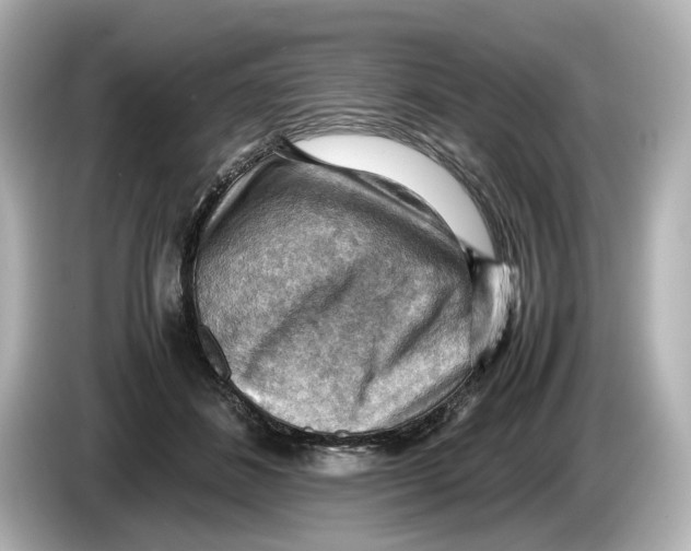 X0000085750508200704091318