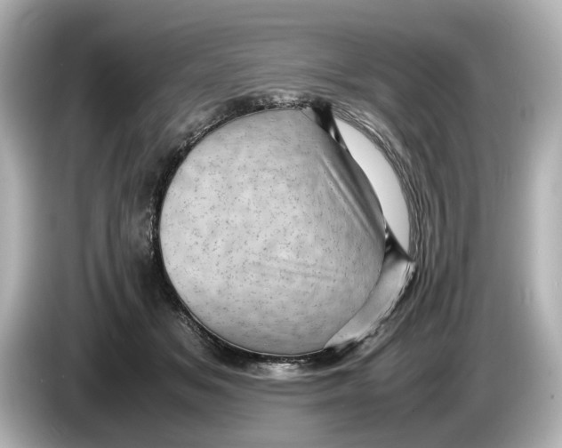 X0000085750509200704091318