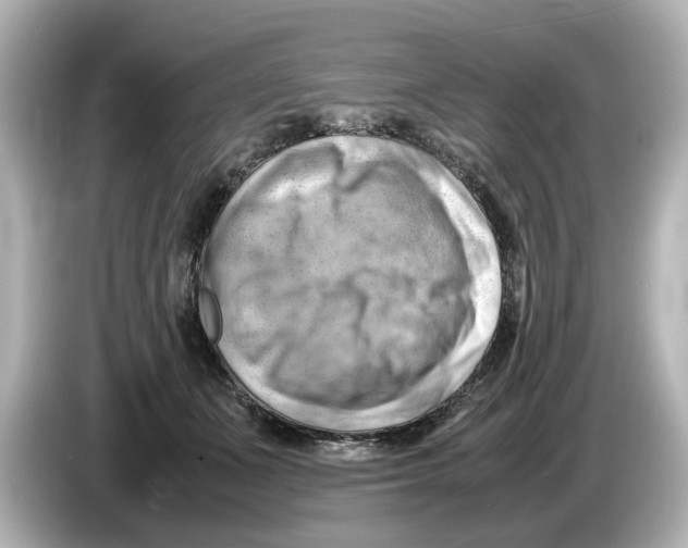 X0000085750511200704091318