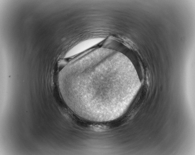 X0000085750512200704091318