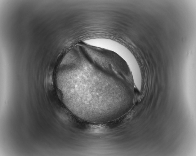 X0000085750516200704091318