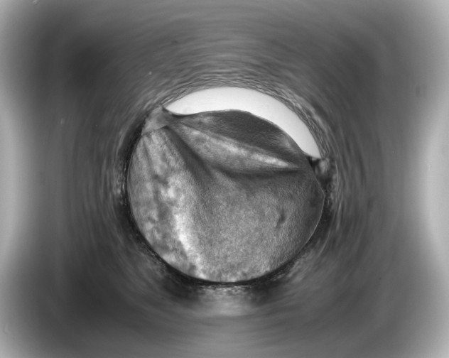 X0000085750517200704091318