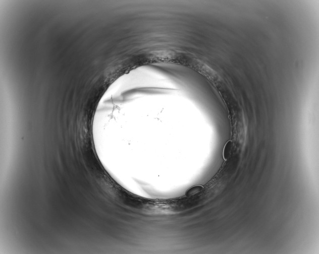 X0000085750518200704091318