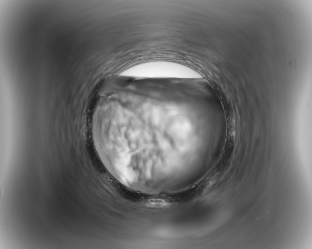 X0000085750519200704091318