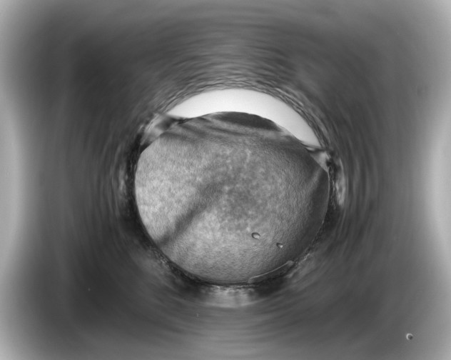 X0000085750520200704091318