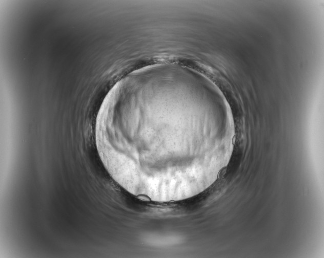 X0000085750523200704091318