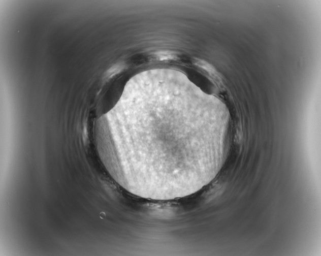 X0000085750524200704091318