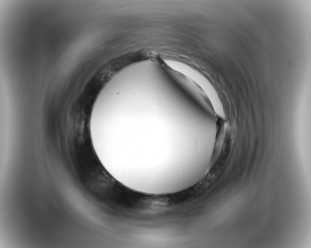 X0000085750525200704091318