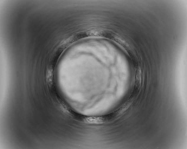 X0000085750526200704091318