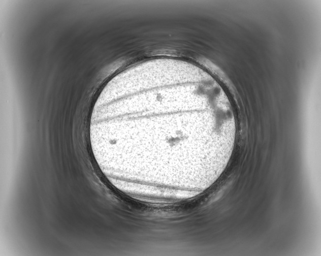 X0000085750529200704091317