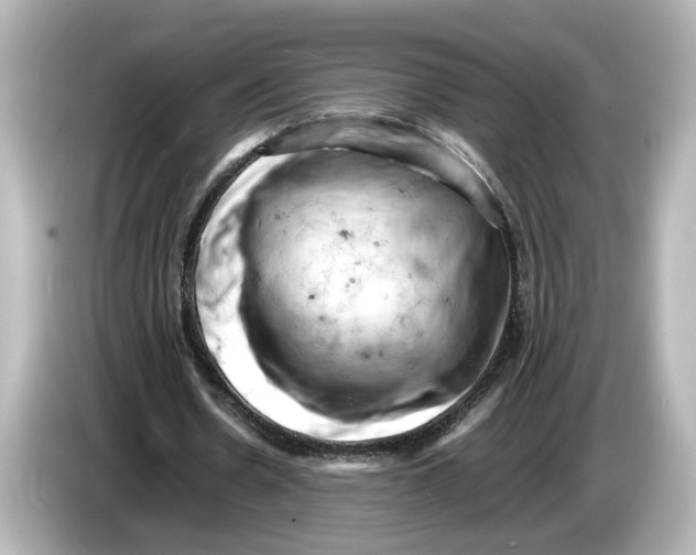 X0000085750530200704091317