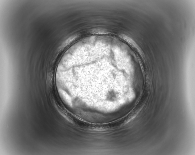 X0000085750533200704091317