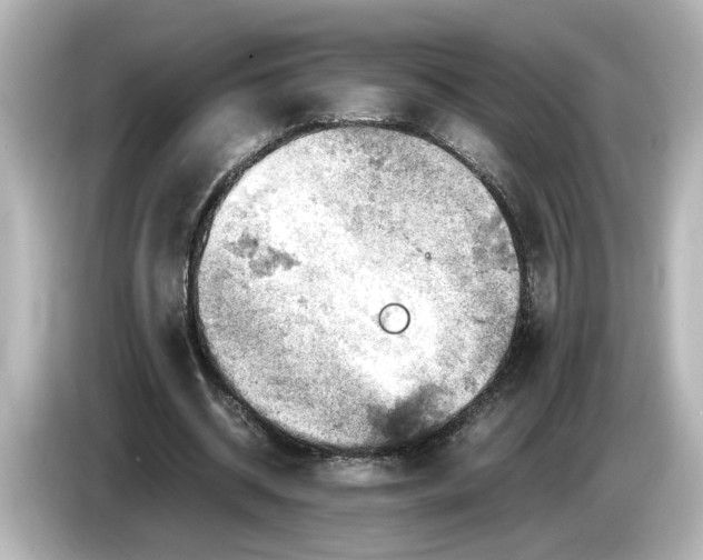 X0000085750534200704091317