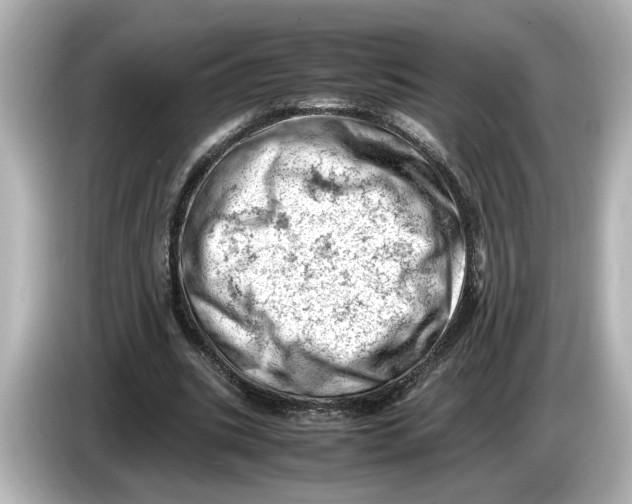 X0000085750535200704091318