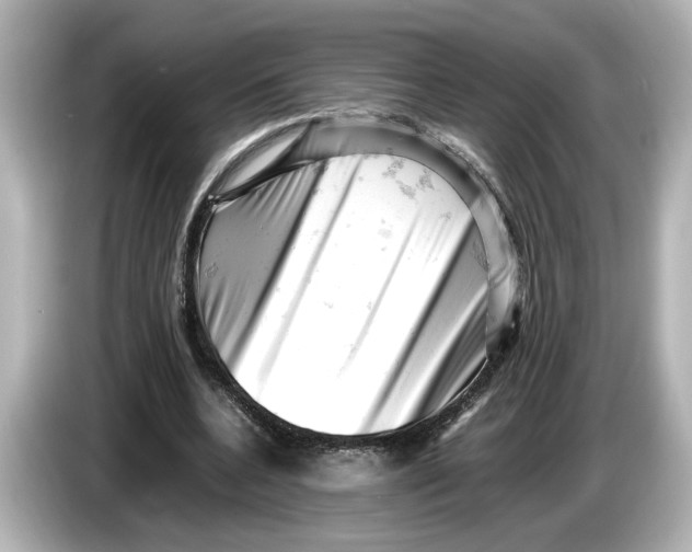 X0000085750536200704091318