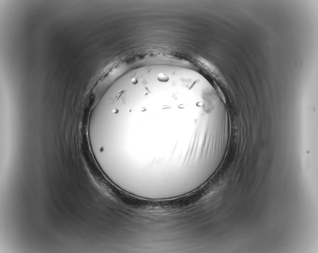 X0000085750538200704091318