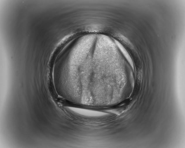 X0000085750540200704091318