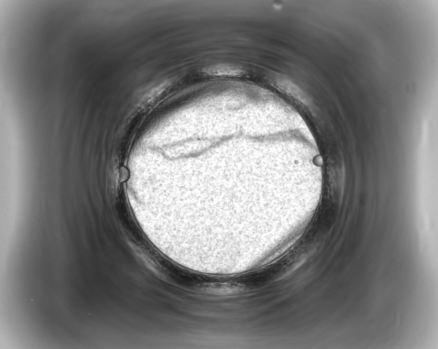 X0000085750541200704091318