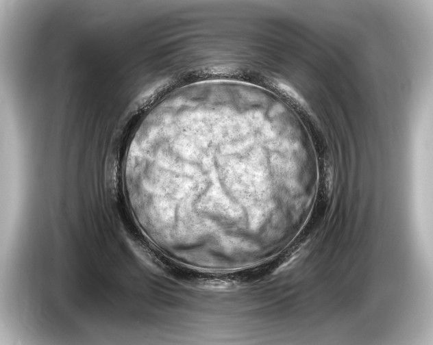 X0000085750542200704091318