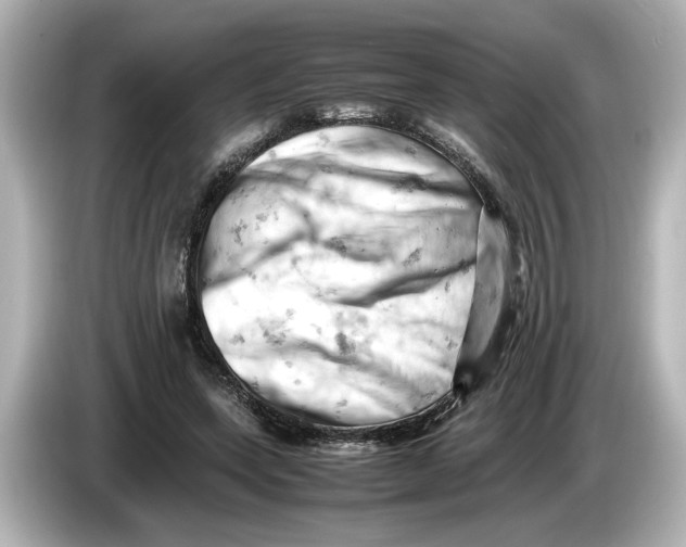 X0000085750543200704091318