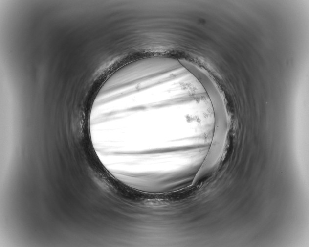 X0000085750544200704091318