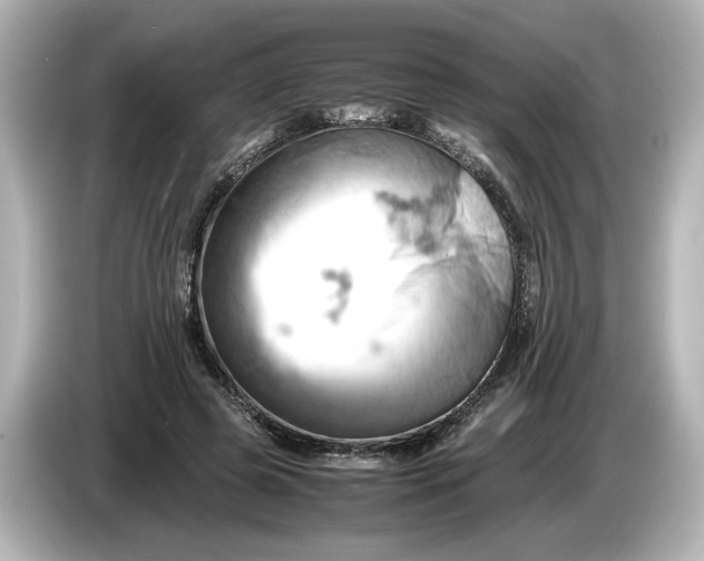 X0000085750545200704091318